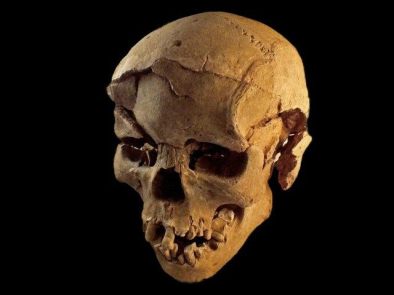 prehistoric-skull-discovered-nataruk-kenya-reuters-640x480